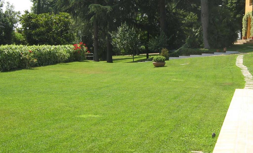 Affittacamere Tiberina 381